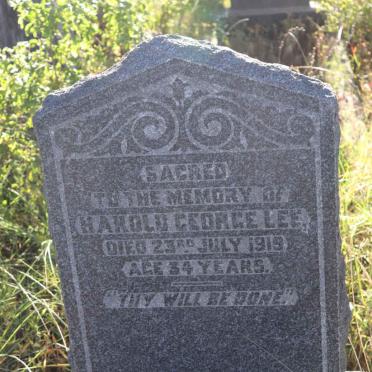 LEE Harold George -1919