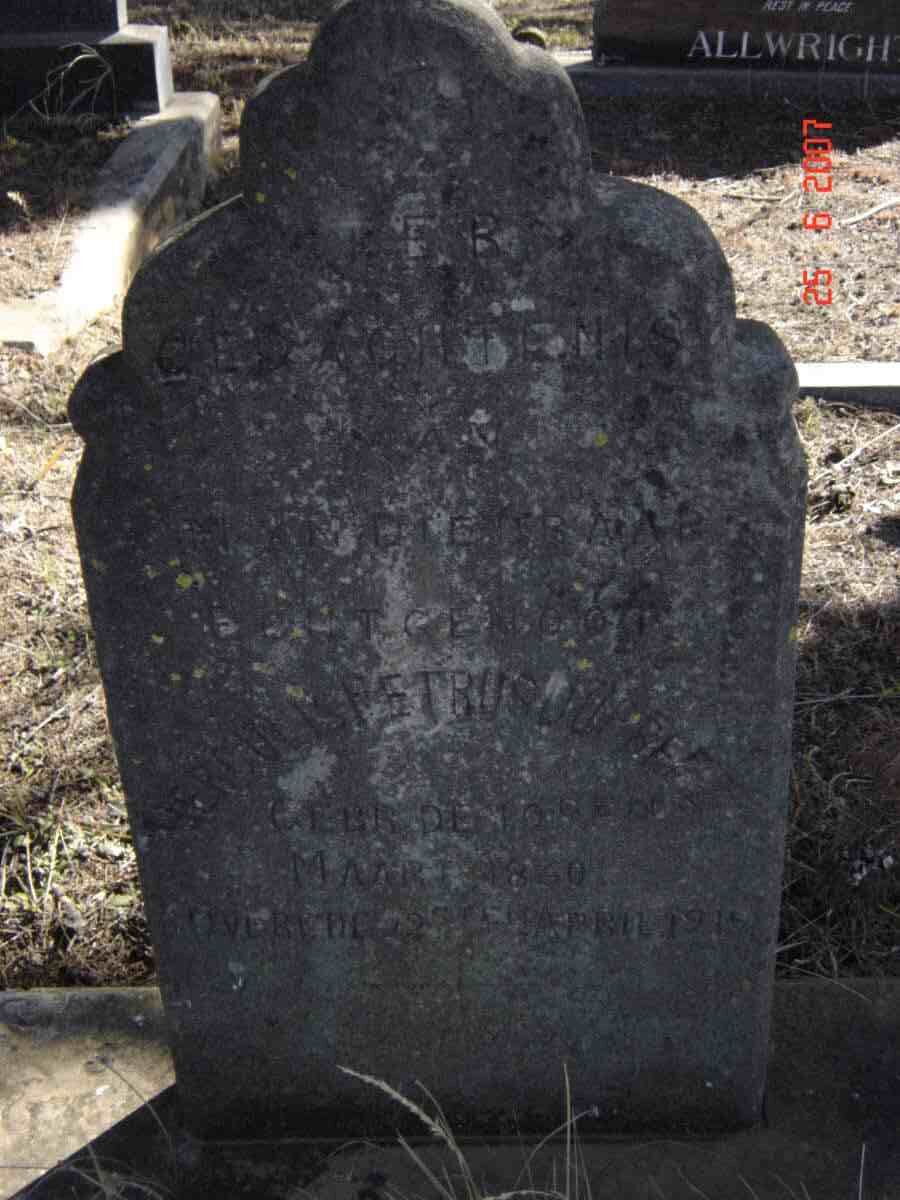 PREEZ Herculis Petrus, du 1860-1919