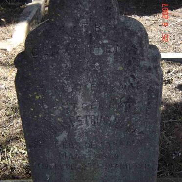 PREEZ Herculis Petrus, du 1860-1919