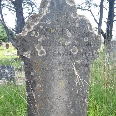 SWANEPOEL Davit A. 18??-19?9