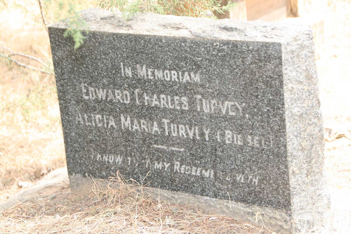 TURVEY Edward Charles 1842-1876 & Alicia Maria BISSET 1848-1912 