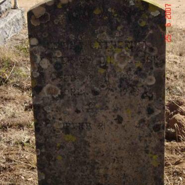 VENTER Levina Catherina nee DU PLESSIS 188?-1933