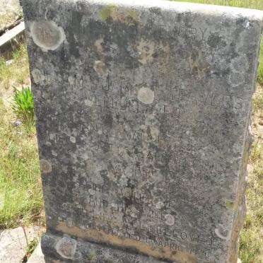 WELLBELOVED William James Travers &amp; Nellie 1870-1946