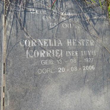 WATSON Johannes Petrus 1924-1997 & Cornelia Hester LUYT 1927-2006 _3