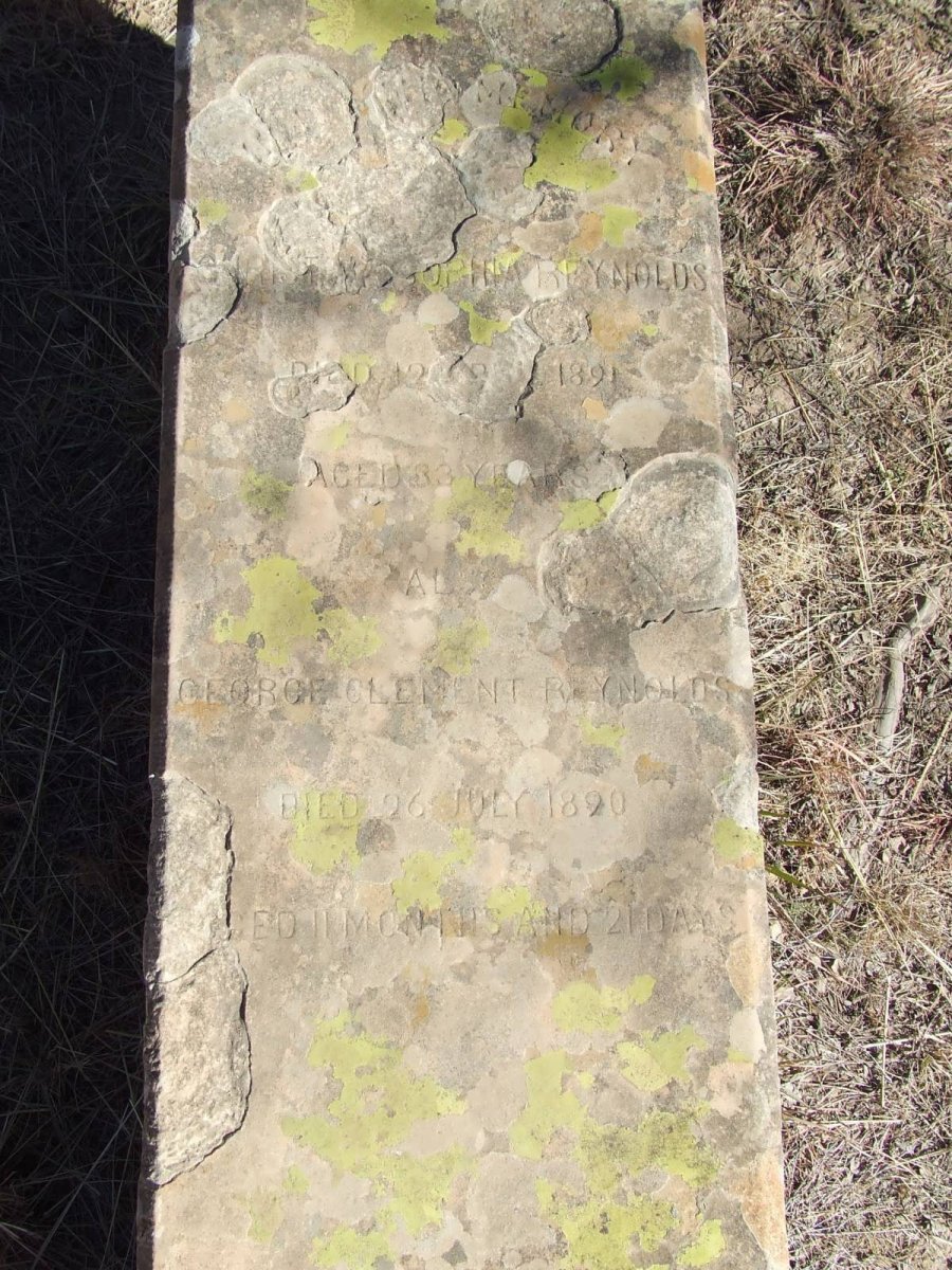 REYNOLDS Sophia -1891 :: REYNOLDS George Clement -1890 _1