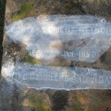 REYNOLDS Sophia -1891 :: REYNOLDS George Clement -1890 _2