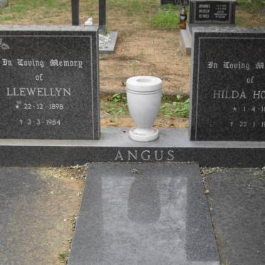 ANGUS Llewellyn 1898-1984 &amp; Hilda Honora 1897-1978
