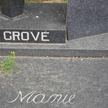 GROVé Manie