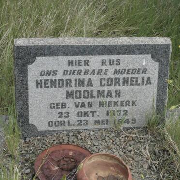 MOOLMAN Hendrina Cornelia nee VAN NIEKERK 1872-1949