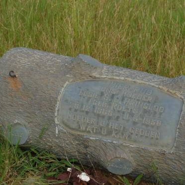 PRINSLOO Elsie S.D. nee ROETS 1888-1938