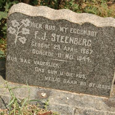STEENBERG F.J. 1867-1944