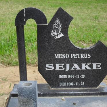 SEJAKE Meso Petrus 1964-2002