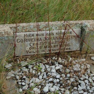 STEYN Cornelia Johanna 1946-1946