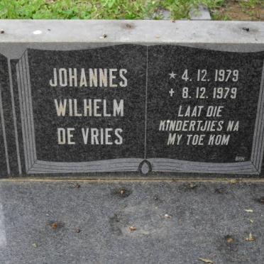 VRIES Johannes Wilhelm, de 1979-1979