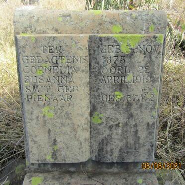 SMIT Cornelia Susanna nee PIENAAR 1875-1919