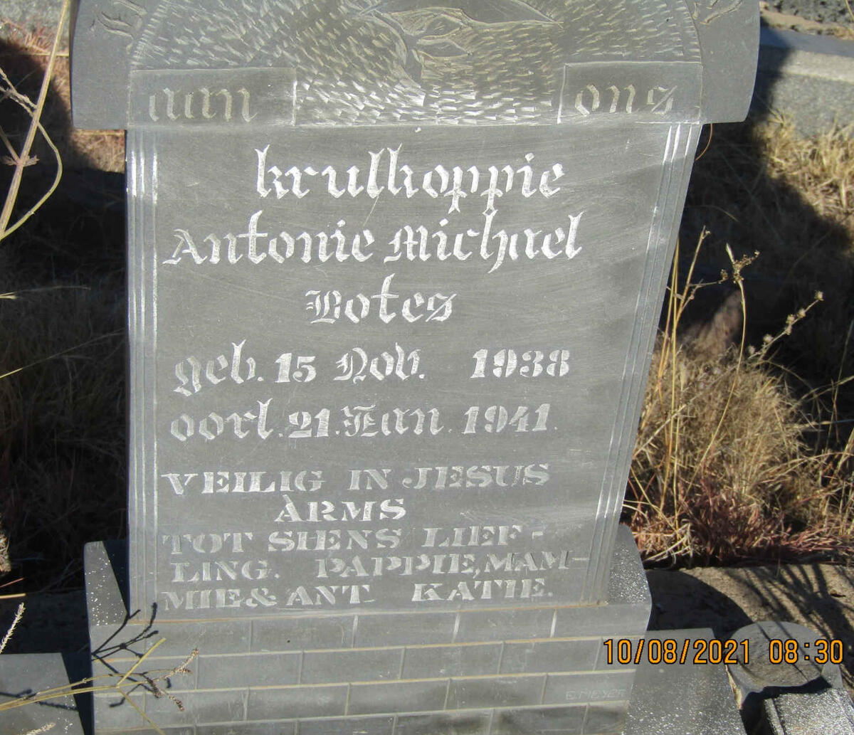 BOTES Antonie Michael 1938-1941