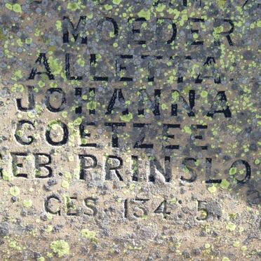 GREYLING Hester Petronella nee WALSTRAND 1935-1914 :: COETZEE Alletta Johanna nee PRINSLOO