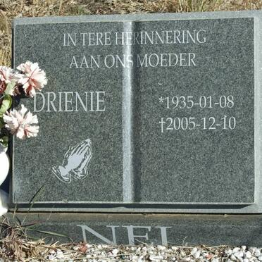 NEL Drienie 1935-2005