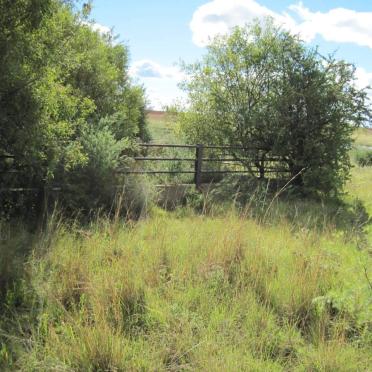 Free State, PARYS district, Braklaagte 85, farm cemetery