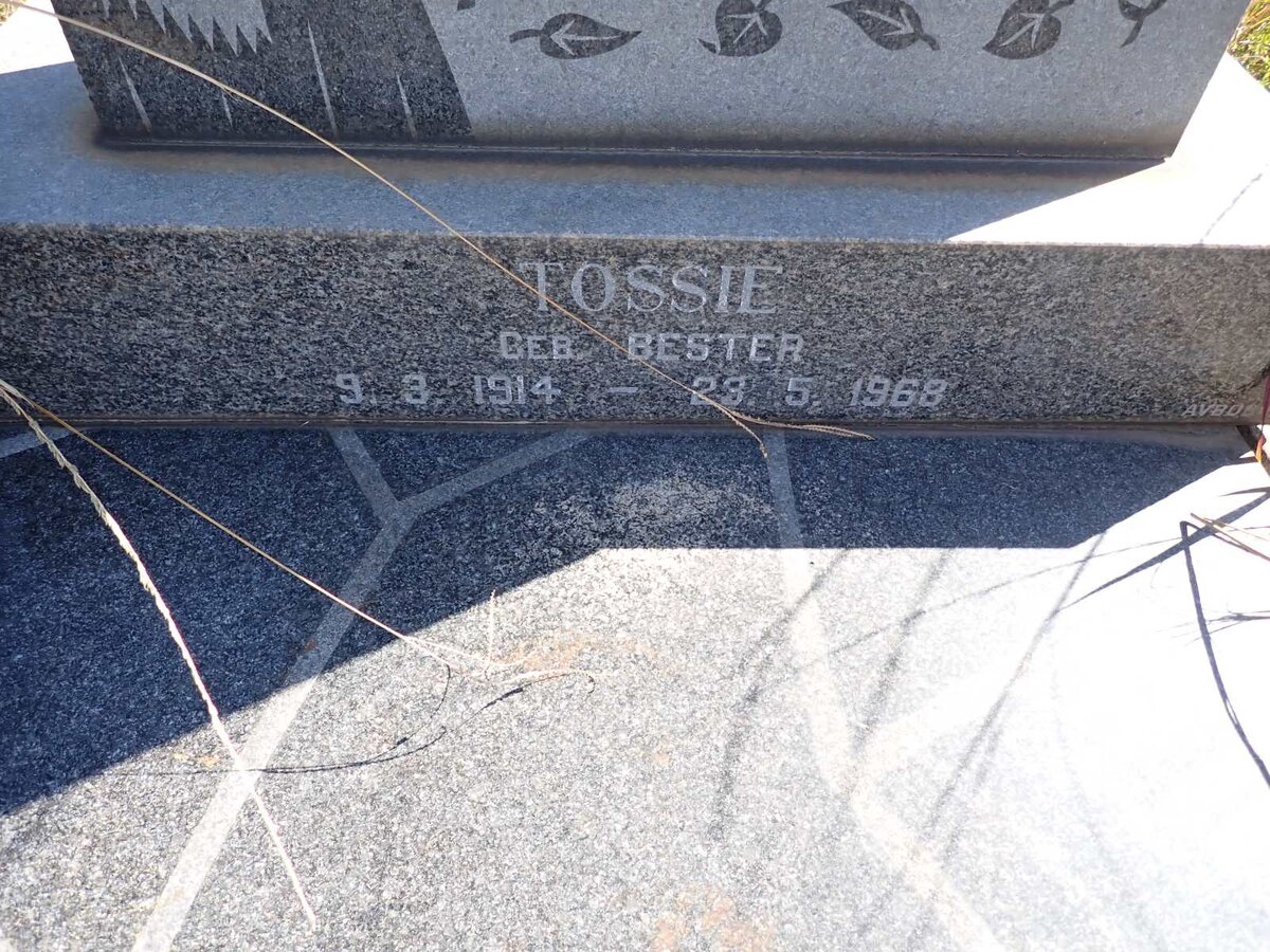 ? Tossie nee BESTER 1914-1968