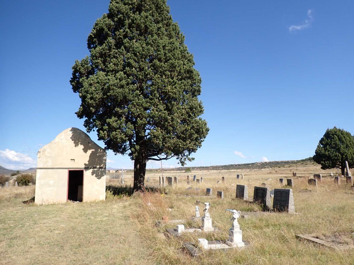 2. Overview / Oorsig