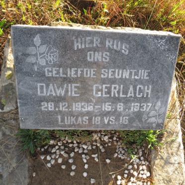 GERLACH Dawie 1936-1937
