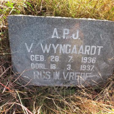 WYNGAARDT A.P.J., van 1936-1937