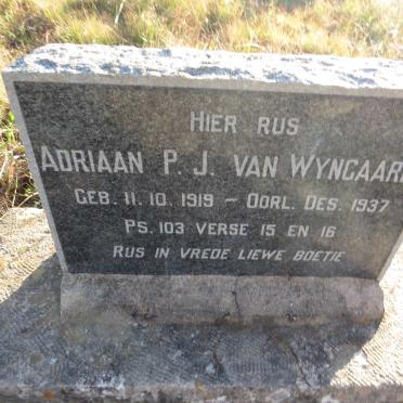 WYNGAARDT Adriaan P.J., van 1919-1937