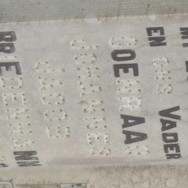 BRIEDENHANN Coenraad Johannes Jacob 18?3-1939 &amp; Maria Johanna BRUWER 1867-1948