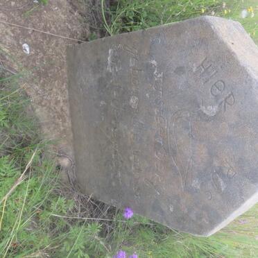 STEENBERG J.J. 1850-1934