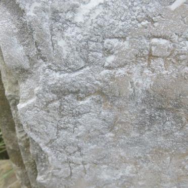 ? Petrus Gerhardus 1898-1932