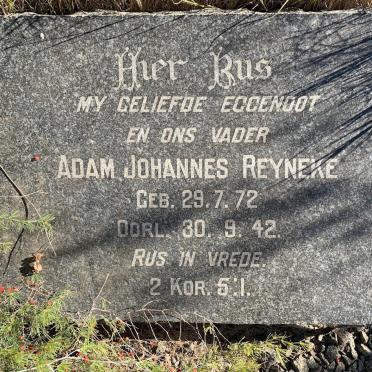 REYNEKE Adam Johannes 1872-1942