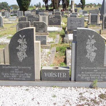 VORSTER Jacobus Adriaan Johannes 1886-1955 &amp; Elizabeth Amelia PAYNE 1890-1981