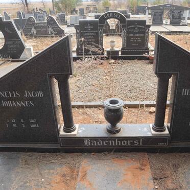 BADENHORST Cornelis Jacob Johannes 1912-1984 & Hester Dorothea Cornelia DU PLESSIS 1910-2012