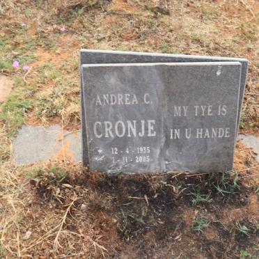 CRONJE Andrea C. 1935-2005