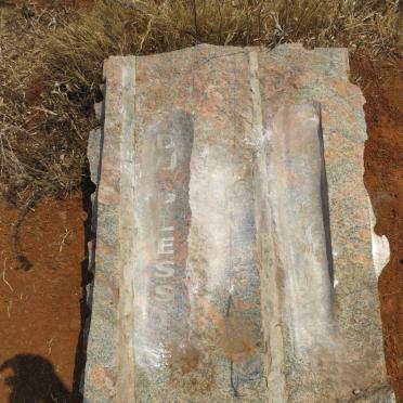 PLESSIS Jean P., du 1994-2001 _1