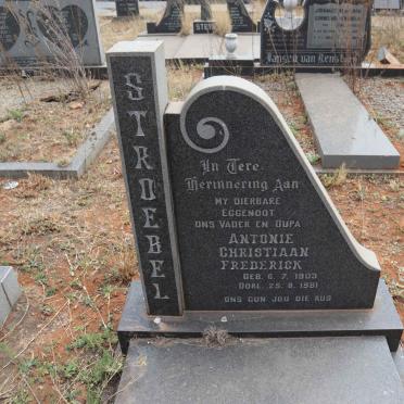 STROEBEL Antonie Christiaan Frederick 1903-1981