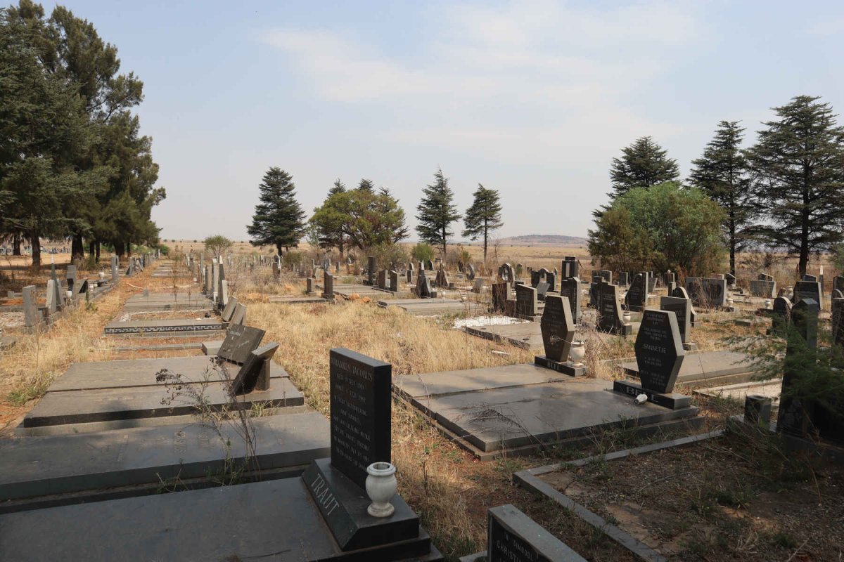 3. Overview / Oorsig