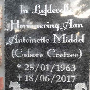 MIDDEL Antoinette nee COETZEE 1963-2017