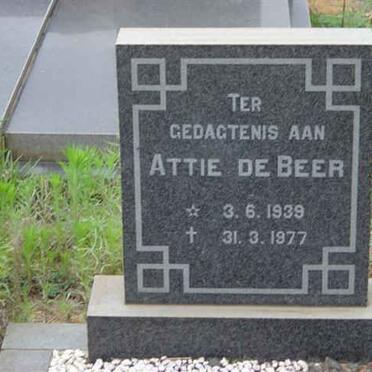 BEER Attie, de 1939-1977