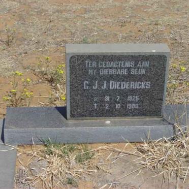 DIEDERICKS G.J.J. 1925-1980