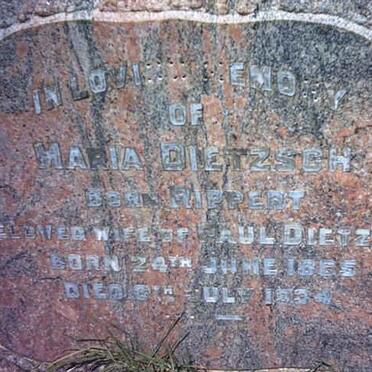 DIETZSCH Paul 1853-1935 &amp; Maria RIPPERT 1865-1934