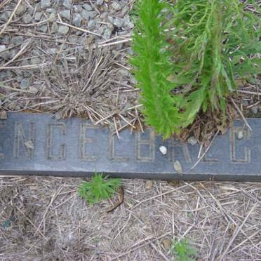 ENGELBRECHT Gerhardus C.1908-1972 &amp; Cornelis J. LOURENS 1906-1996