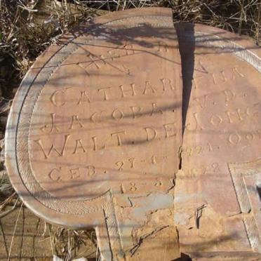 JONGE Cathariena Jacoba, v.d. Walt de 1921-1922