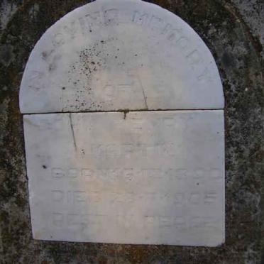 MARTIN John Henry 1890-1905