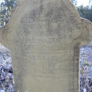 NAUDE W.J. 1882-1948