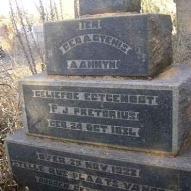 PRETORIUS P. J.1834-1923