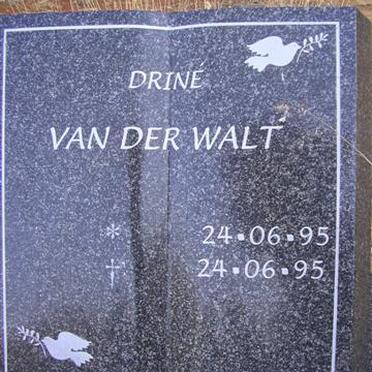 WALT Driné, van der 1995-1995