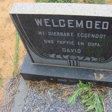 WELGEMOED David 1909-1973