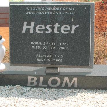 BLOM Hester 1977-2009